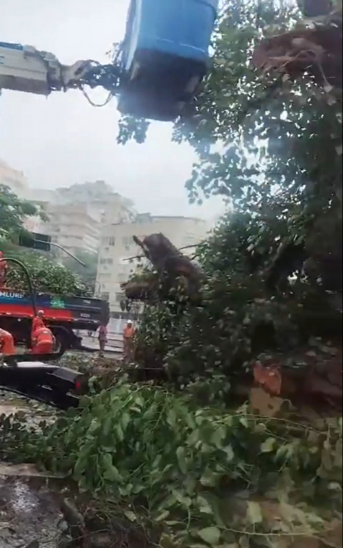 Árvore de grande porte cai no Leblon em dia chuvoso